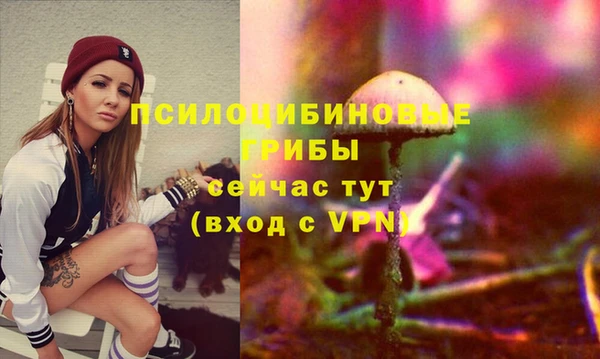 индика Армянск
