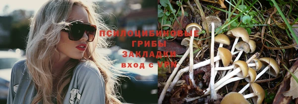 экстази Арсеньев
